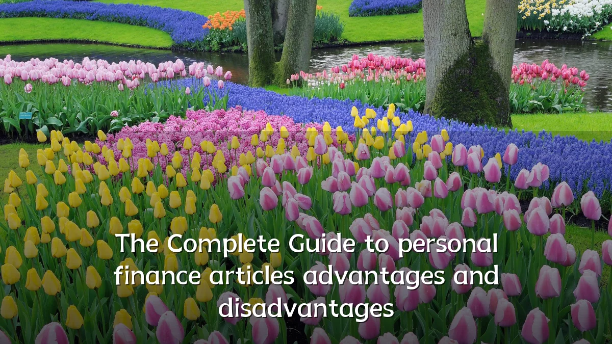 The Complete Guide to personal finance articles advantages and disadvantages