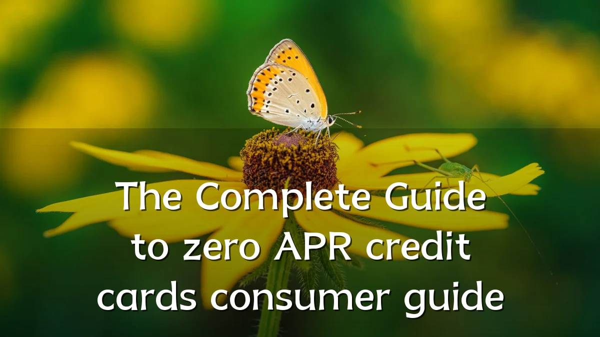The Complete Guide to zero APR credit cards consumer guide