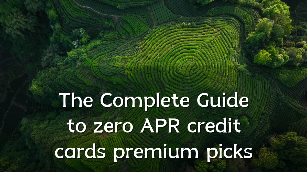 The Complete Guide to zero APR credit cards premium picks