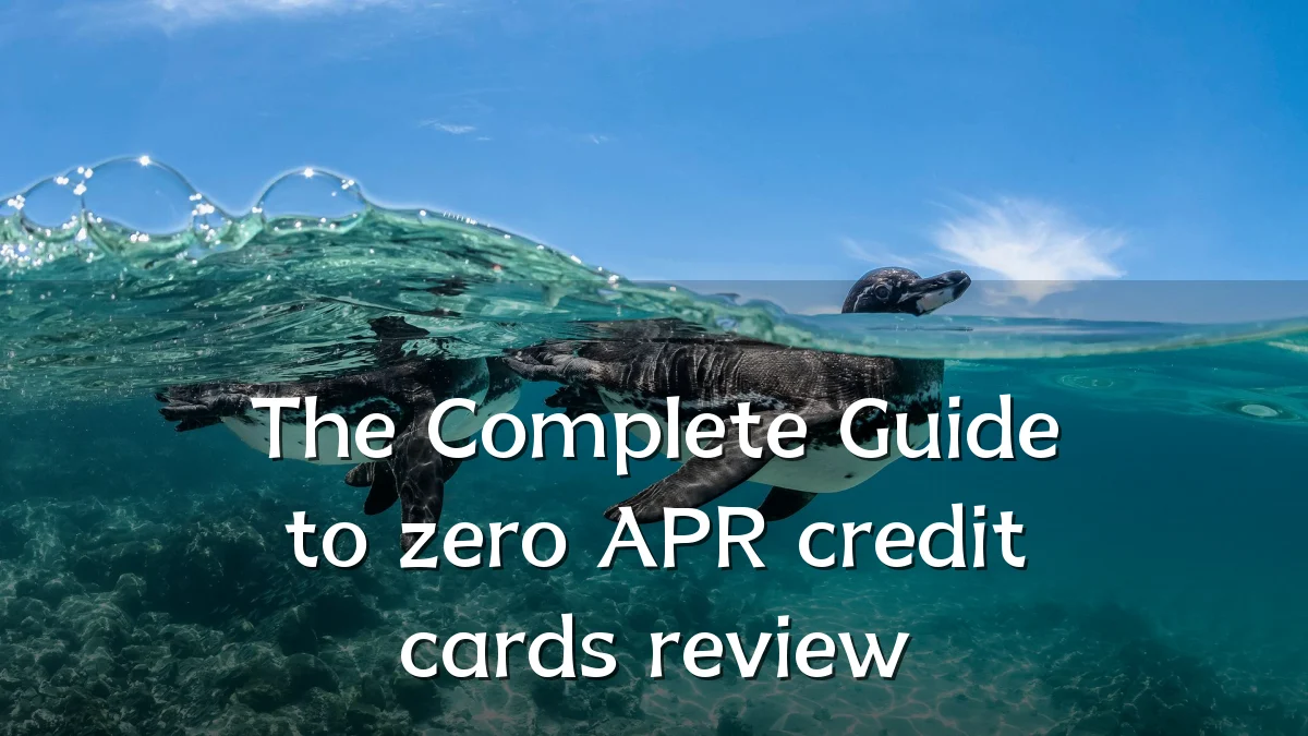 The Complete Guide to zero APR credit cards review