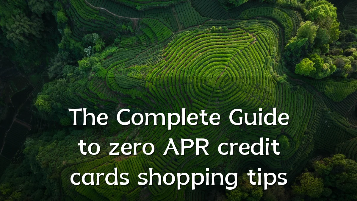 The Complete Guide to zero APR credit cards shopping tips