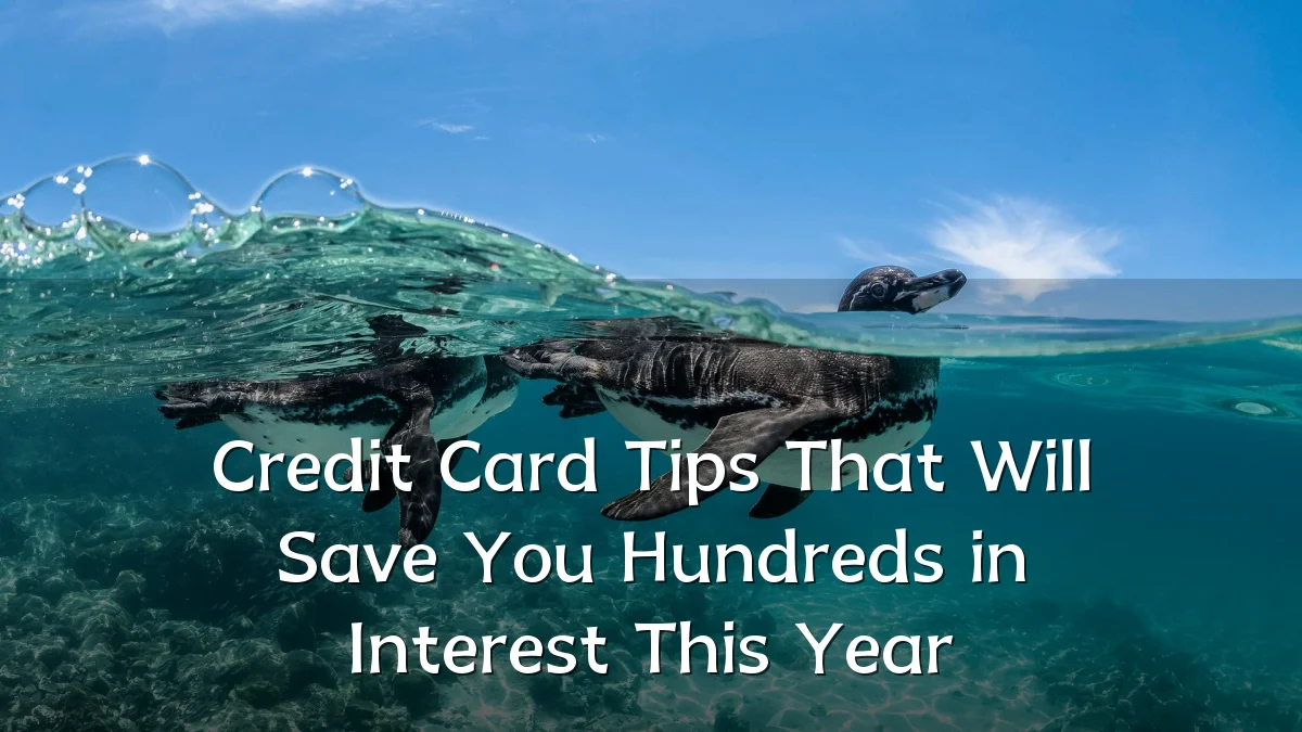 Credit Card Tips That Will Save You Hundreds in Interest This Year