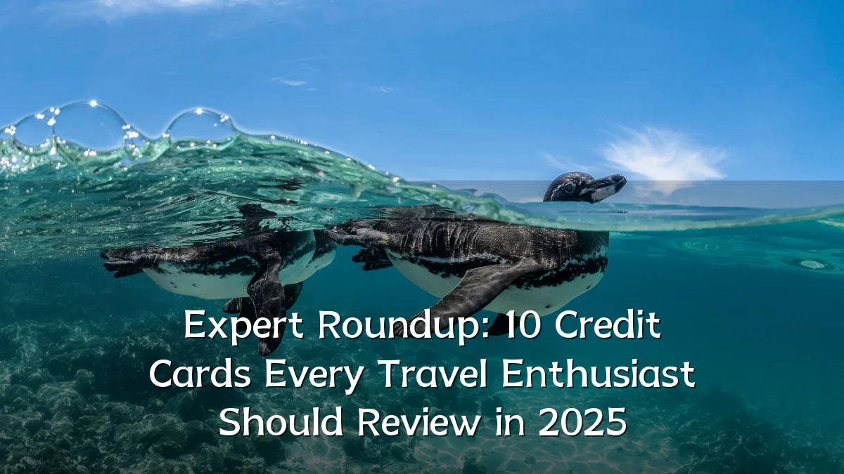Expert Roundup: 10 Credit Cards Every Travel Enthusiast Should Review in 2025