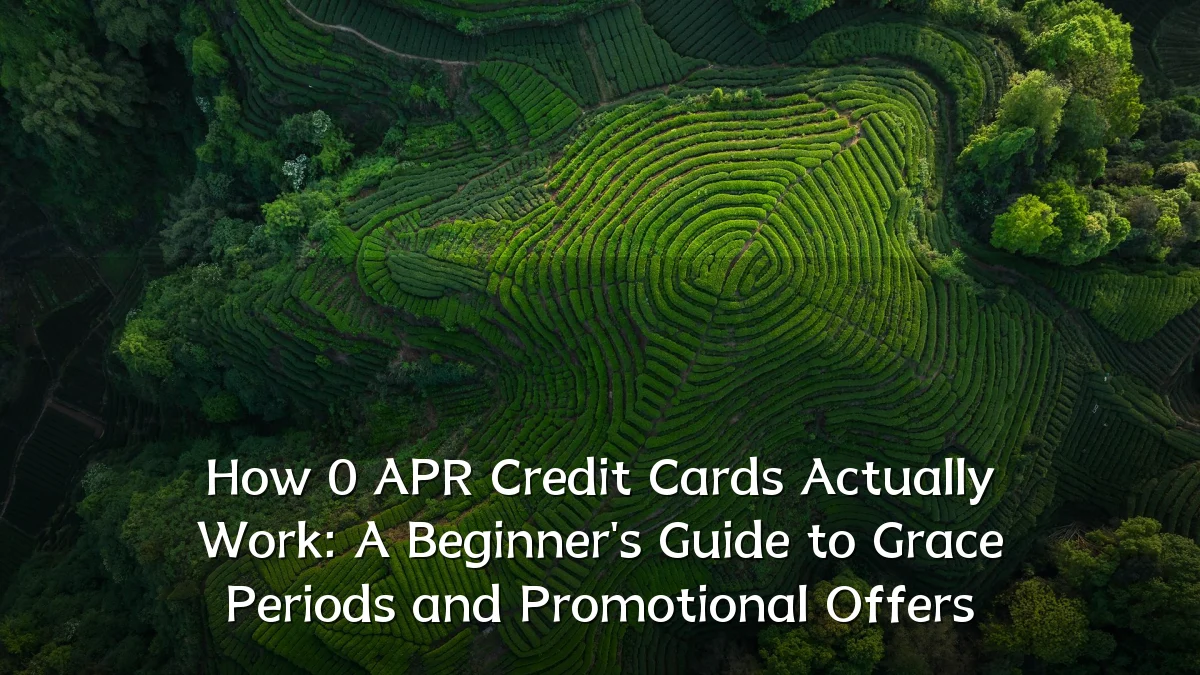 How 0 APR Credit Cards Actually Work: A Beginner's Guide to Grace Periods and Promotional Offers