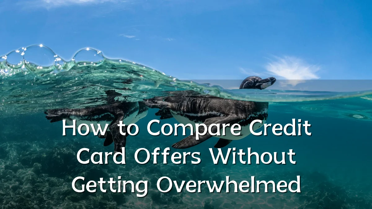 How to Compare Credit Card Offers Without Getting Overwhelmed