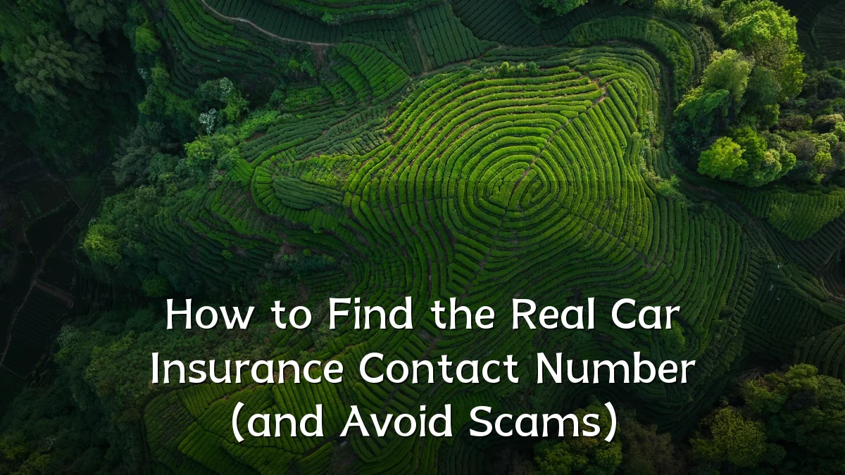 How to Find the Real Car Insurance Contact Number (and Avoid Scams)