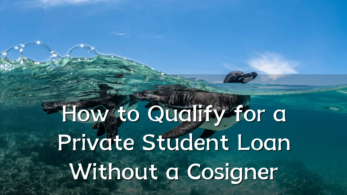 How to Qualify for a Private Student Loan Without a Cosigner