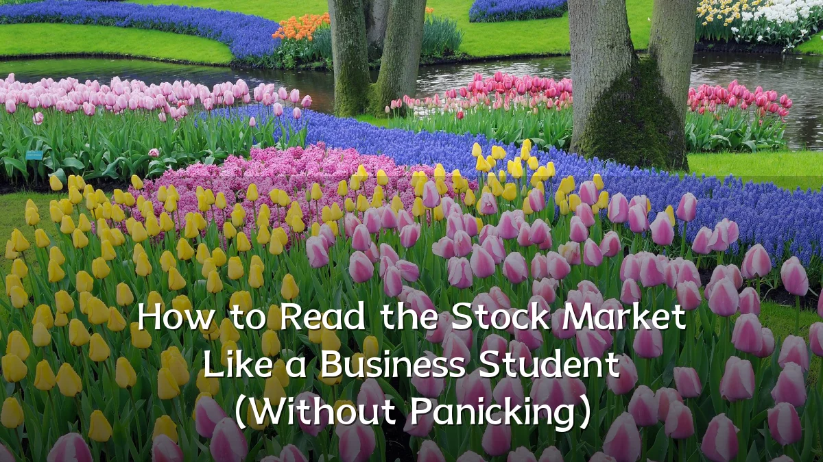 How to Read the Stock Market Like a Business Student (Without Panicking)