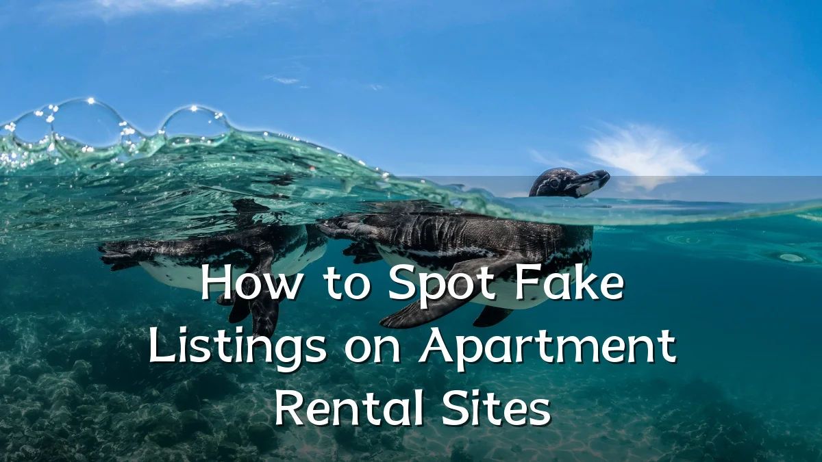 How to Spot Fake Listings on Apartment Rental Sites