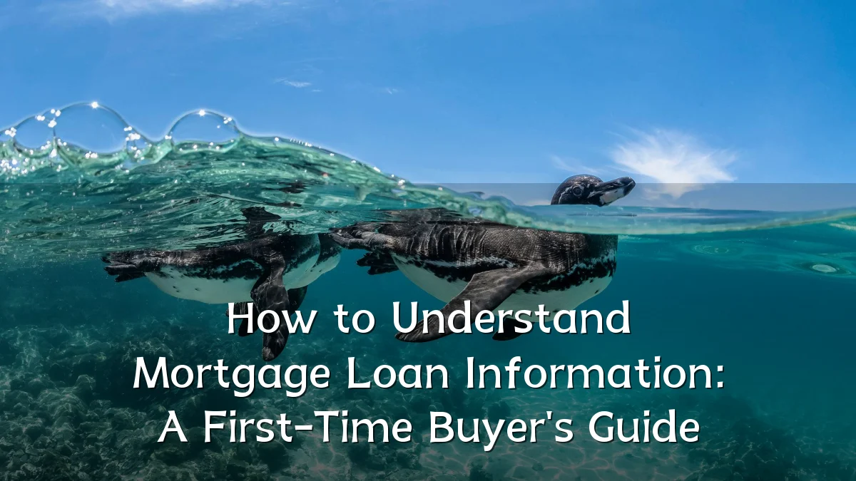 How to Understand Mortgage Loan Information: A First-Time Buyer's Guide
