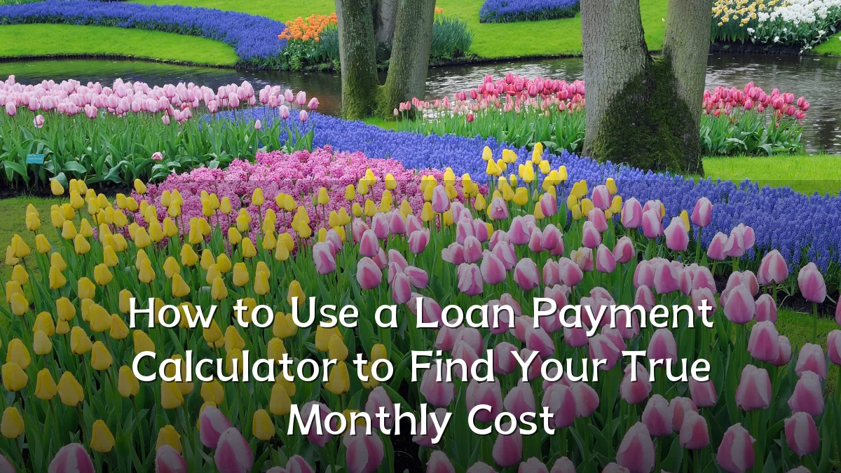 How to Use a Loan Payment Calculator to Find Your True Monthly Cost
