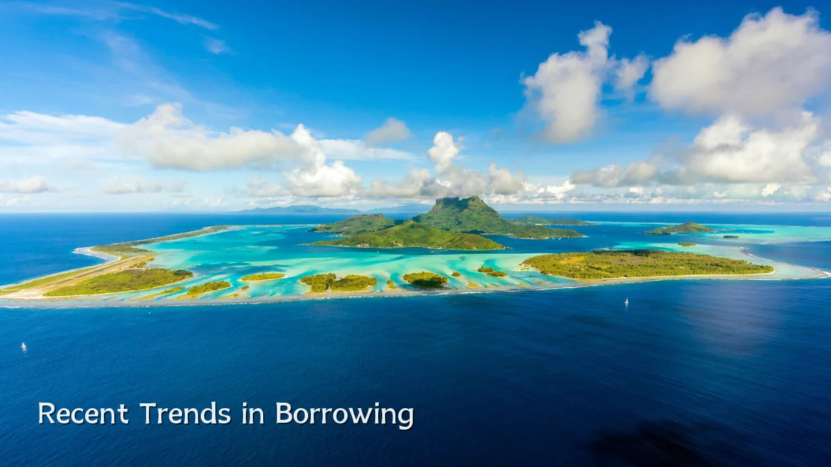 Recent Trends in Borrowing