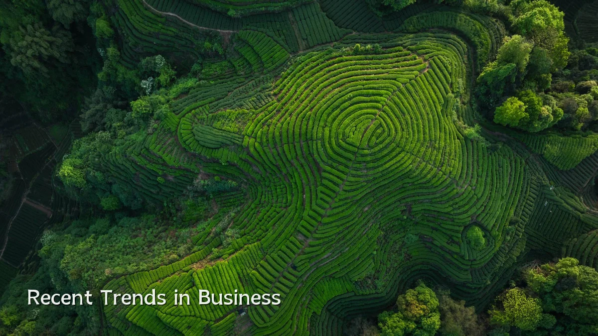 Recent Trends in Business