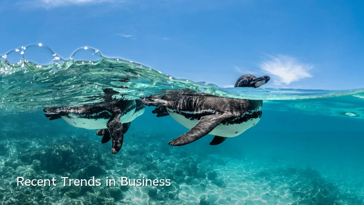 Recent Trends in Business