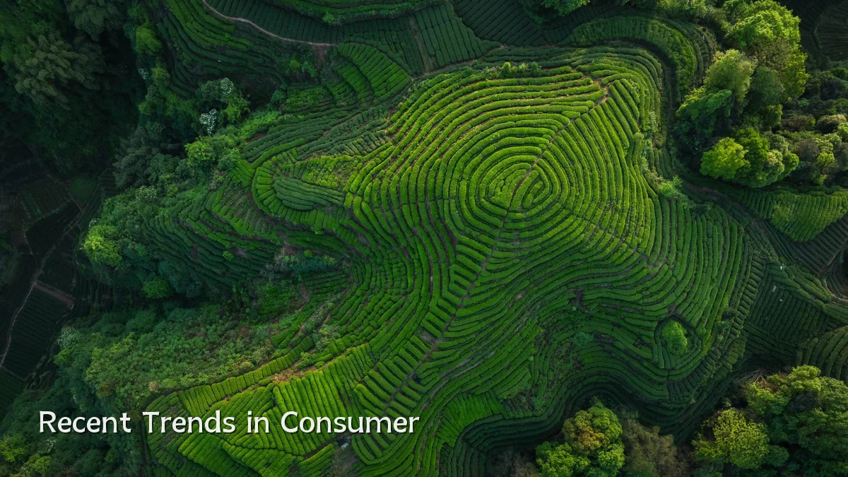 Recent Trends in Consumer