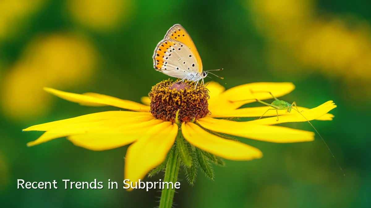 Recent Trends in Subprime