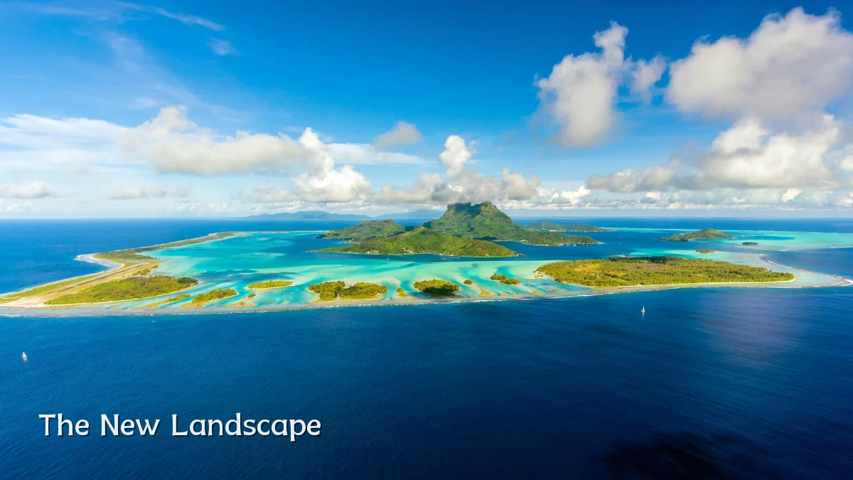 The New Landscape