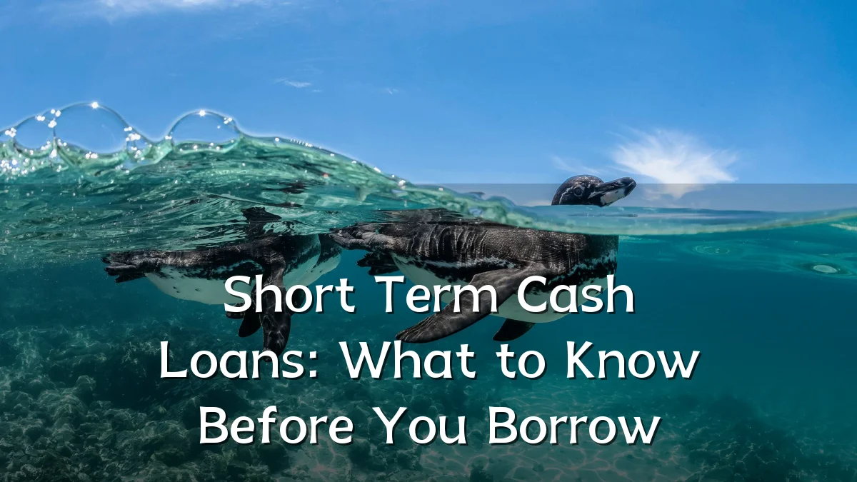 Short Term Cash Loans: What to Know Before You Borrow