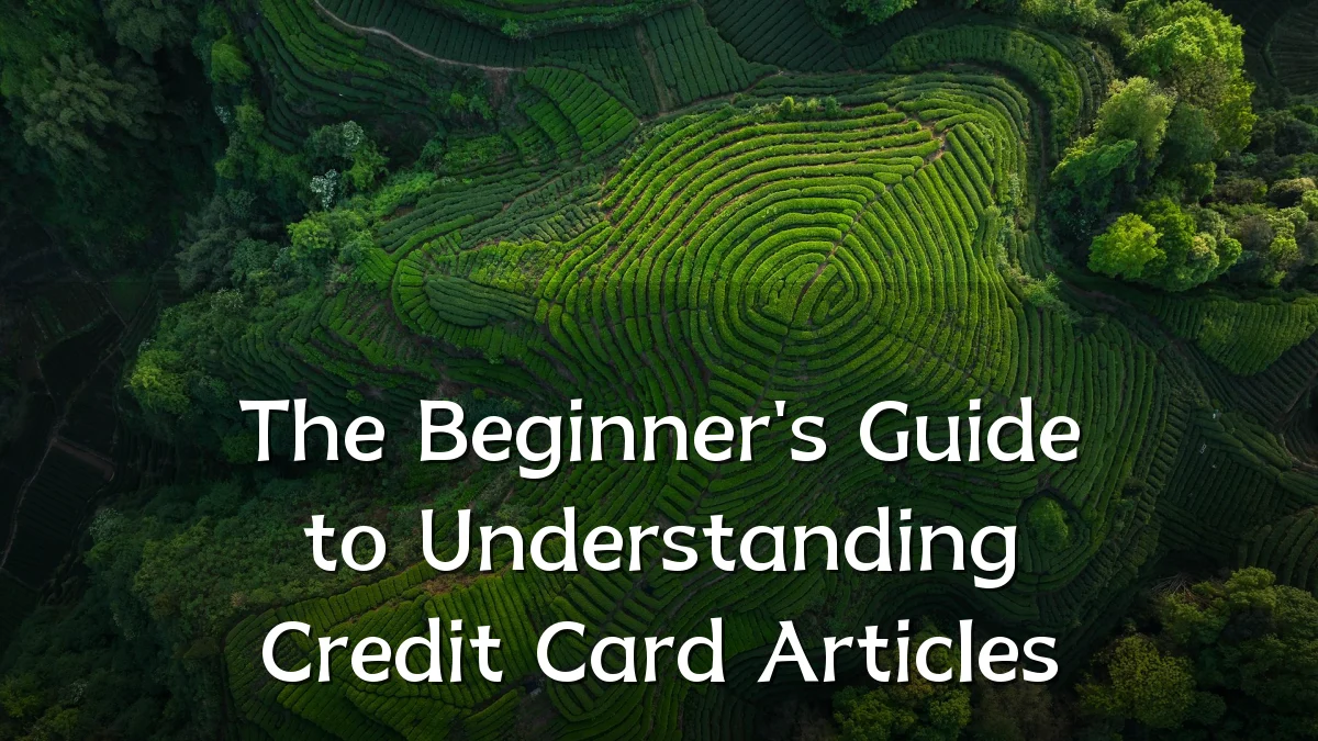 The Beginner's Guide to Understanding Credit Card Articles