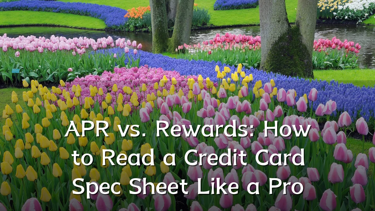 APR vs. Rewards: How to Read a Credit Card Spec Sheet Like a Pro