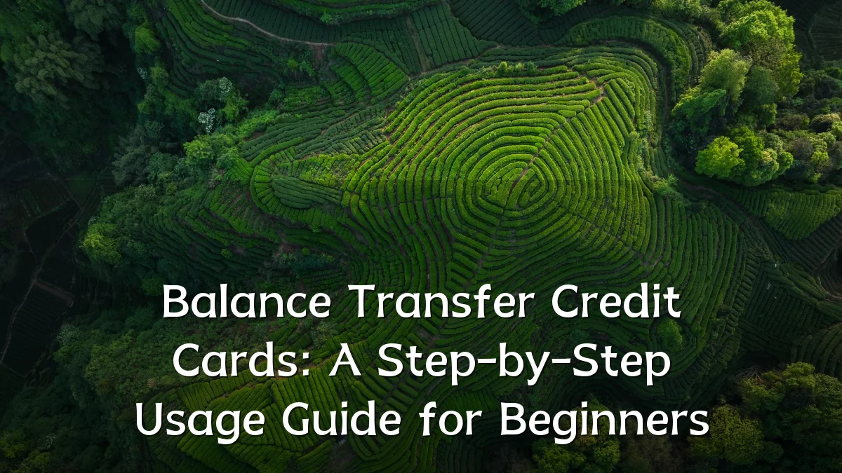 Balance Transfer Credit Cards: A Step-by-Step Usage Guide for Beginners