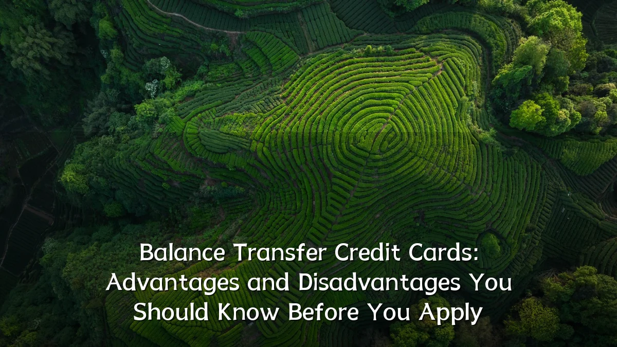 Balance Transfer Credit Cards: Advantages and Disadvantages You Should Know Before You Apply