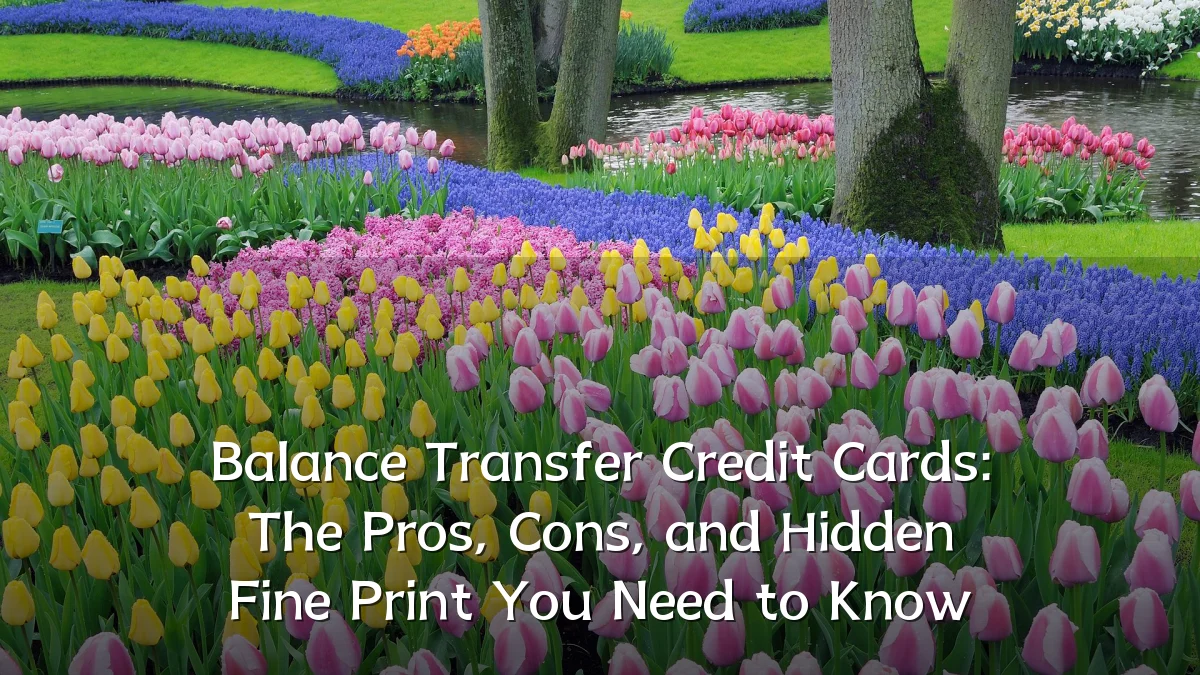 Balance Transfer Credit Cards: The Pros, Cons, and Hidden Fine Print You Need to Know