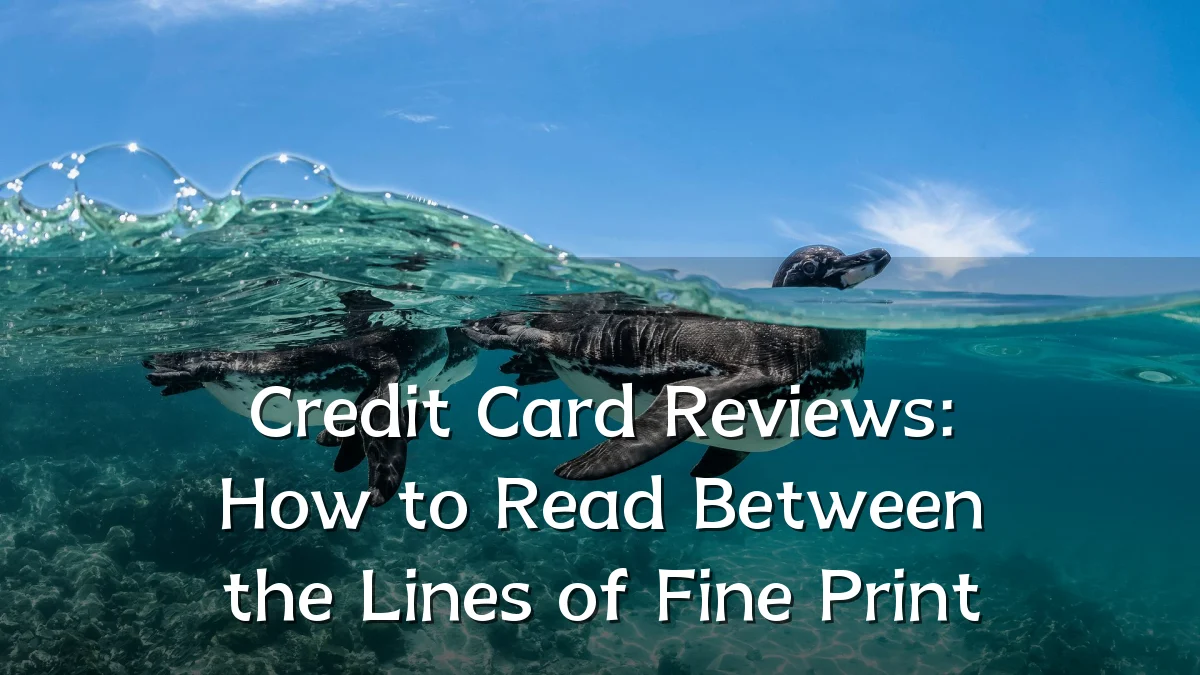 Credit Card Reviews: How to Read Between the Lines of Fine Print