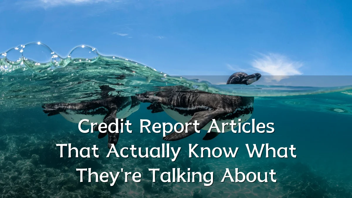 Credit Report Articles That Actually Know What They're Talking About