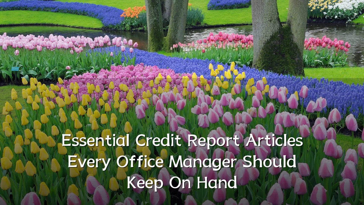 Essential Credit Report Articles Every Office Manager Should Keep On Hand