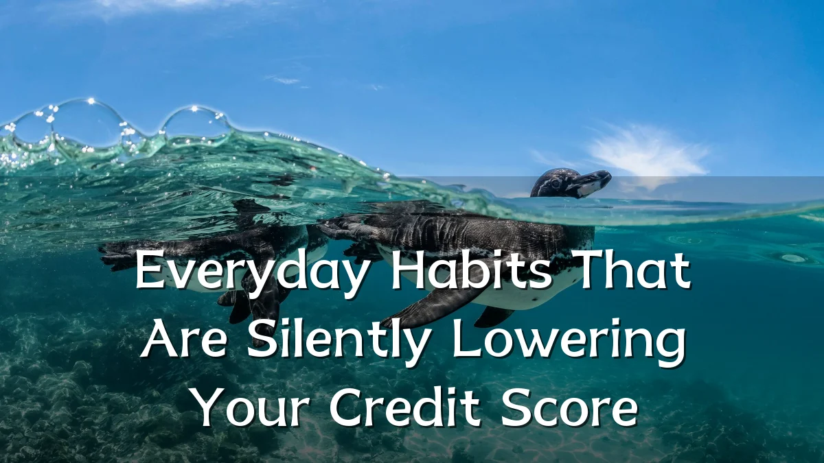 Everyday Habits That Are Silently Lowering Your Credit Score