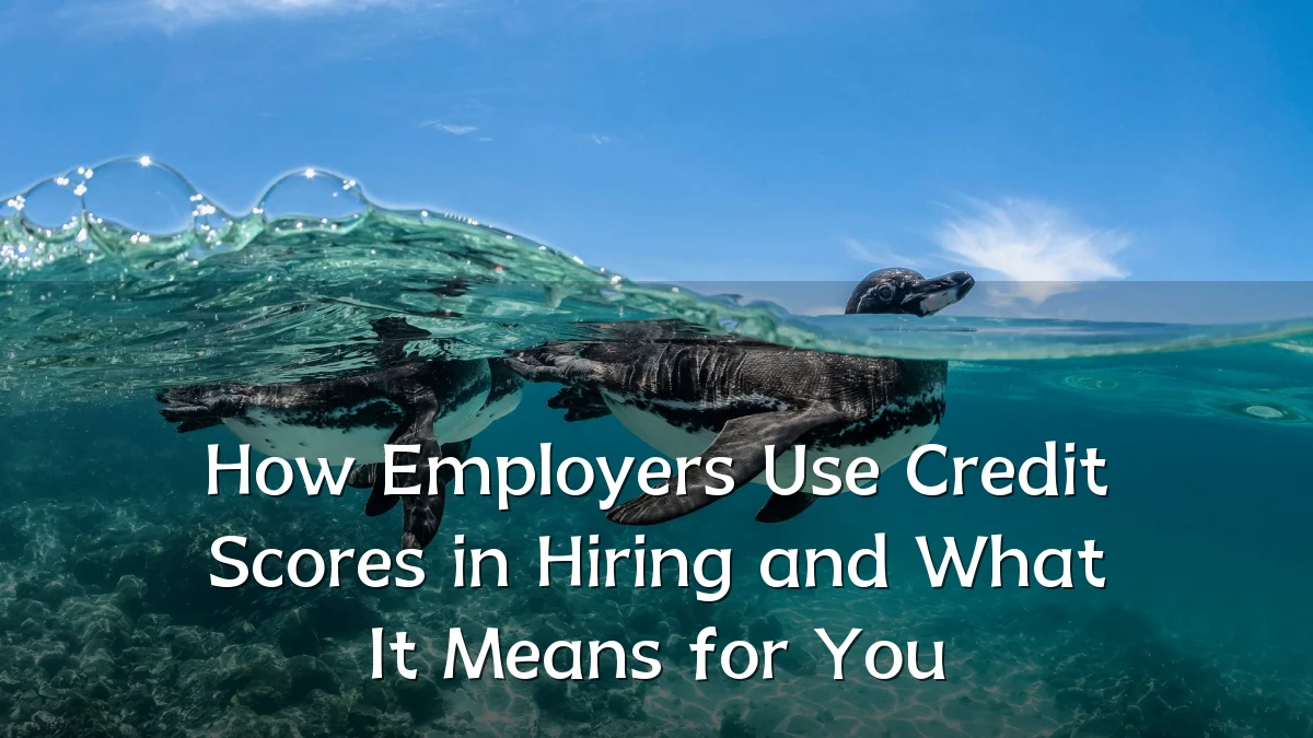 How Employers Use Credit Scores in Hiring and What It Means for You