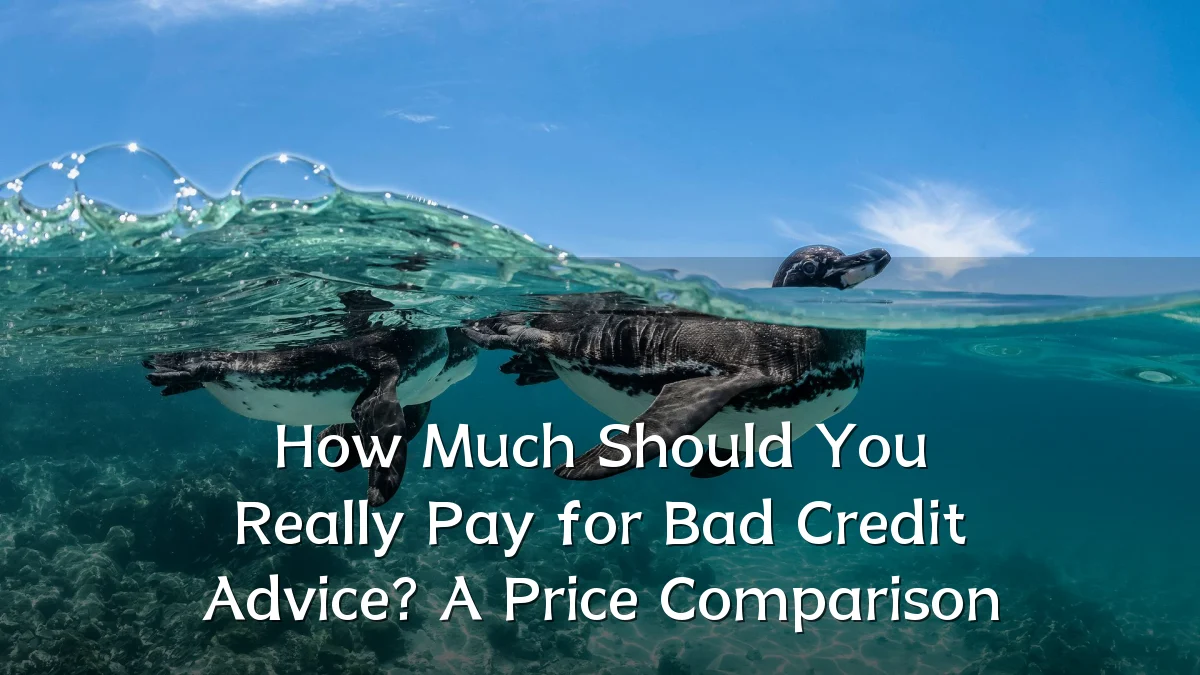 How Much Should You Really Pay for Bad Credit Advice? A Price Comparison