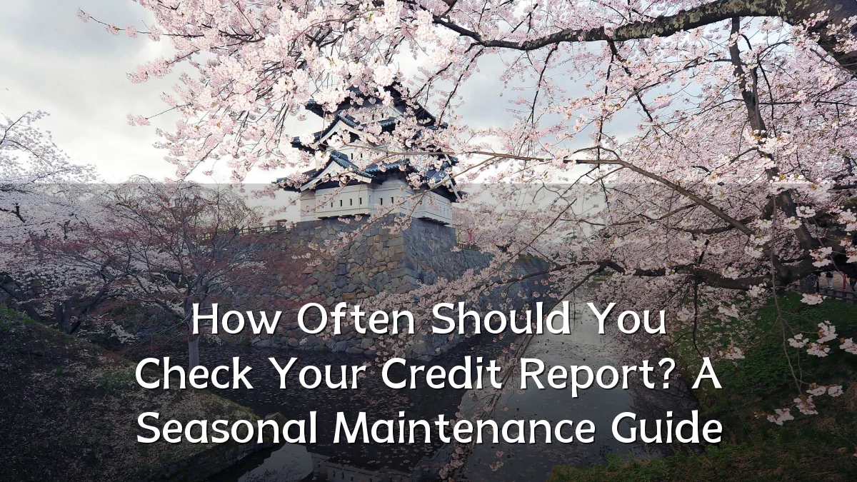 How Often Should You Check Your Credit Report? A Seasonal Maintenance Guide