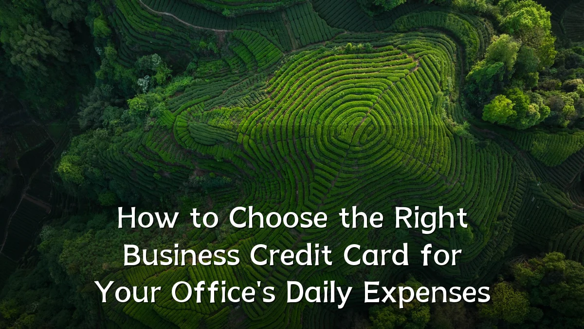 How to Choose the Right Business Credit Card for Your Office's Daily Expenses
