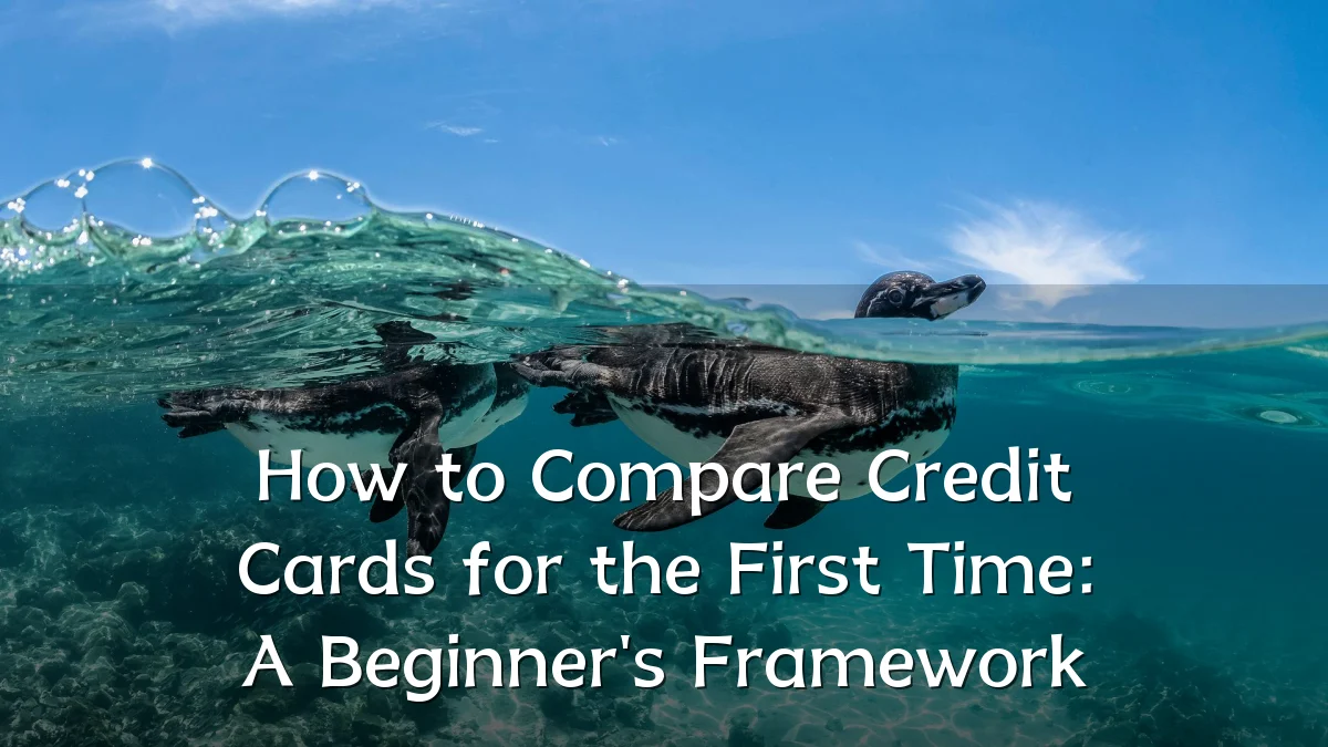 How to Compare Credit Cards for the First Time: A Beginner's Framework