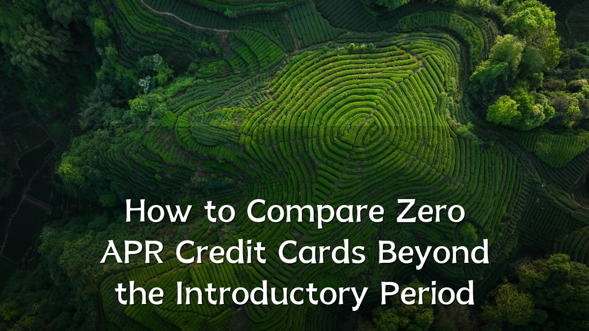 How to Compare Zero APR Credit Cards Beyond the Introductory Period
