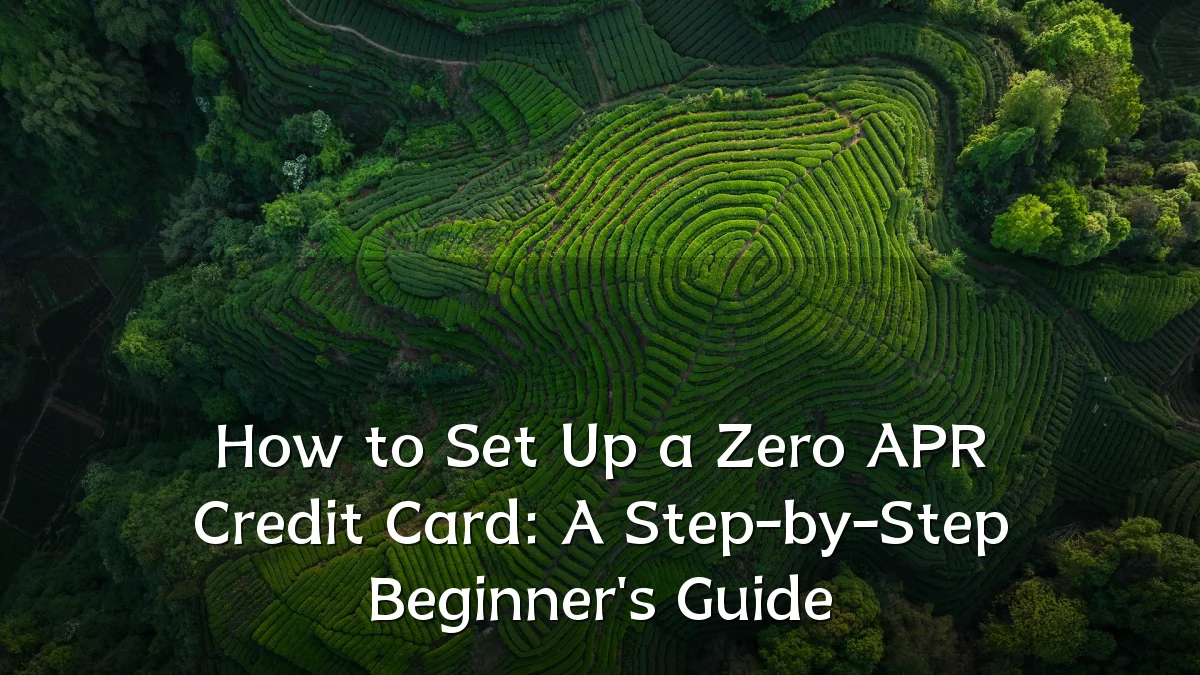 How to Set Up a Zero APR Credit Card: A Step-by-Step Beginner's Guide