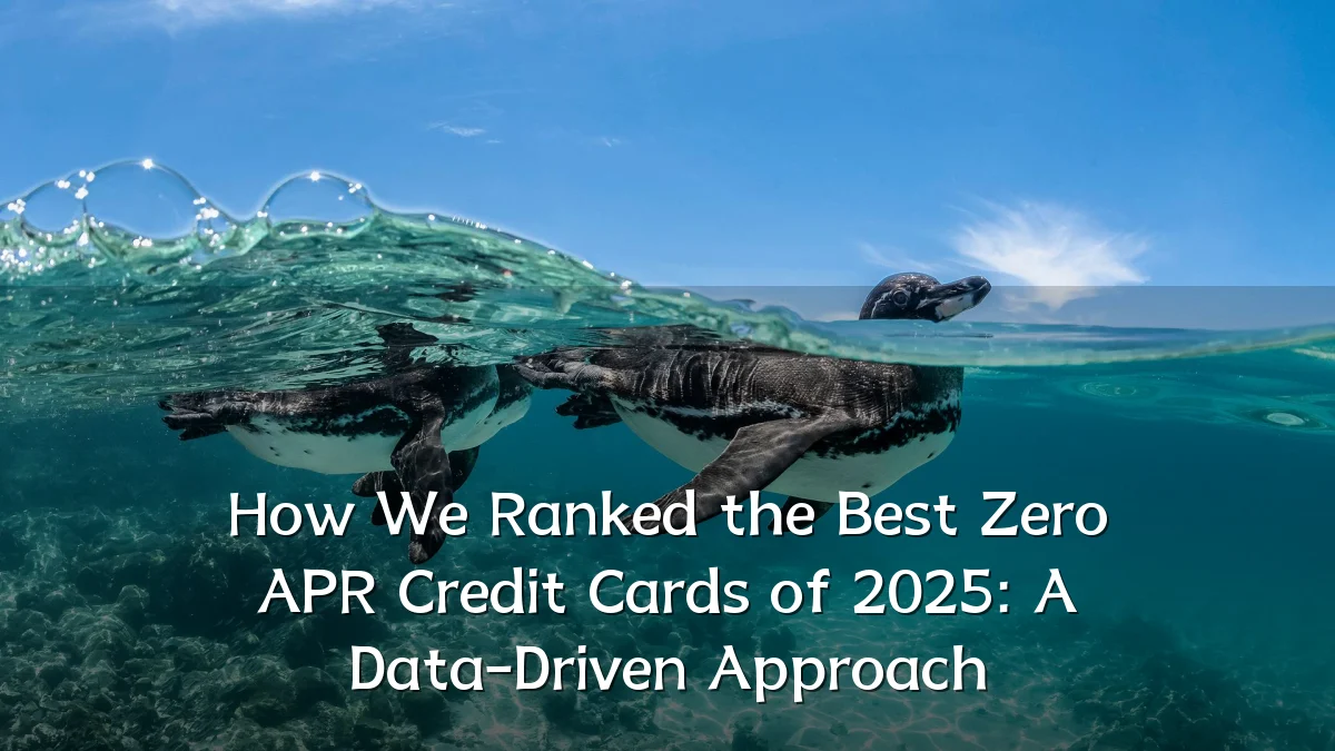 How We Ranked the Best Zero APR Credit Cards of 2025: A Data-Driven Approach