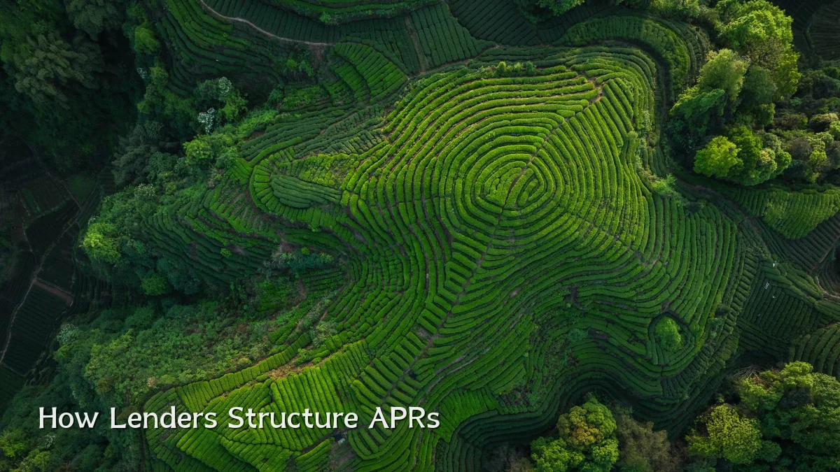 How Lenders Structure APRs