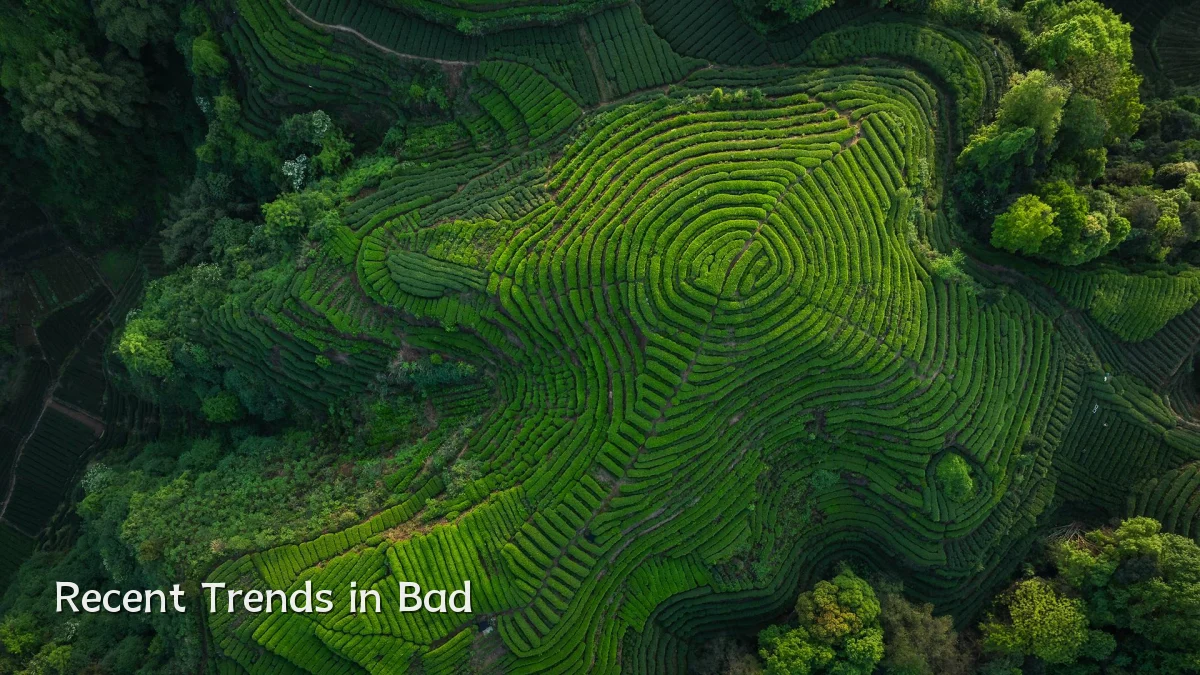 Recent Trends in Bad