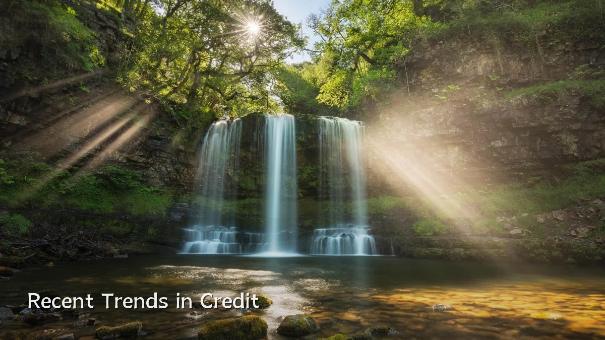 Recent Trends in Credit