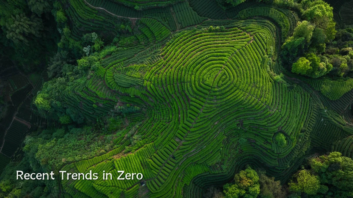 Recent Trends in Zero