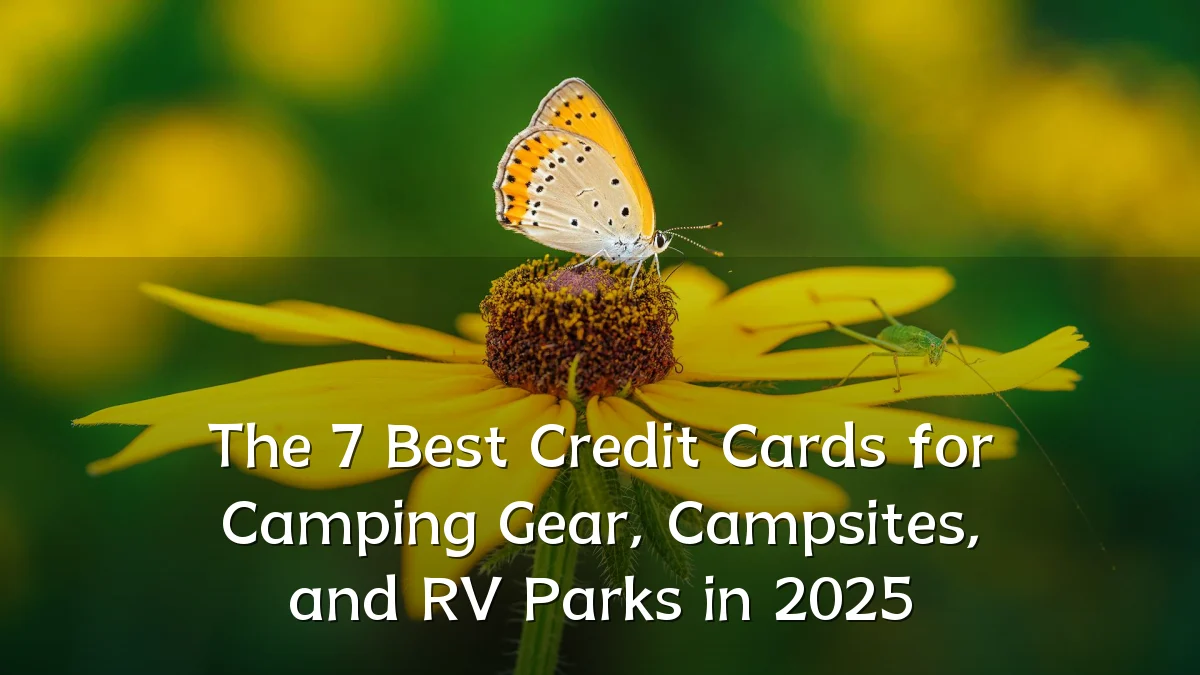 The 7 Best Credit Cards for Camping Gear, Campsites, and RV Parks in 2025