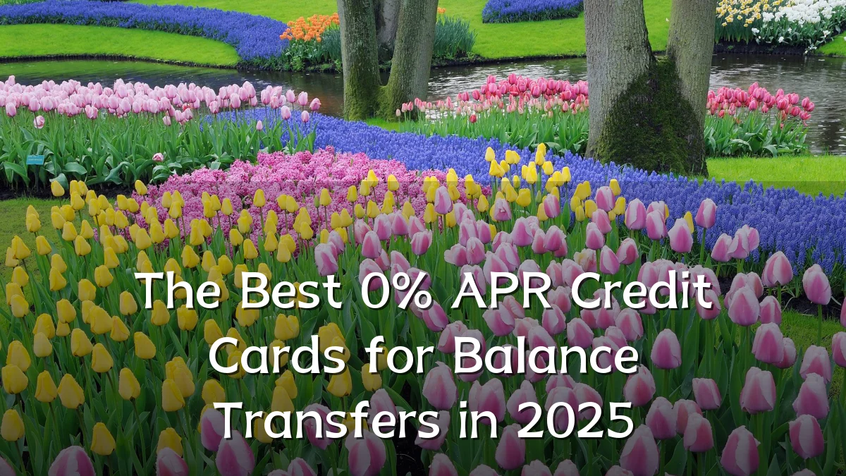 The Best 0% APR Credit Cards for Balance Transfers in 2025