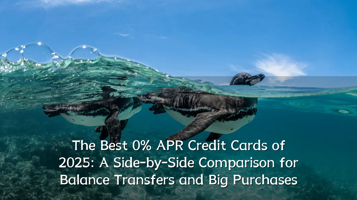 The Best 0% APR Credit Cards of 2025: A Side-by-Side Comparison for Balance Transfers and Big Purchases