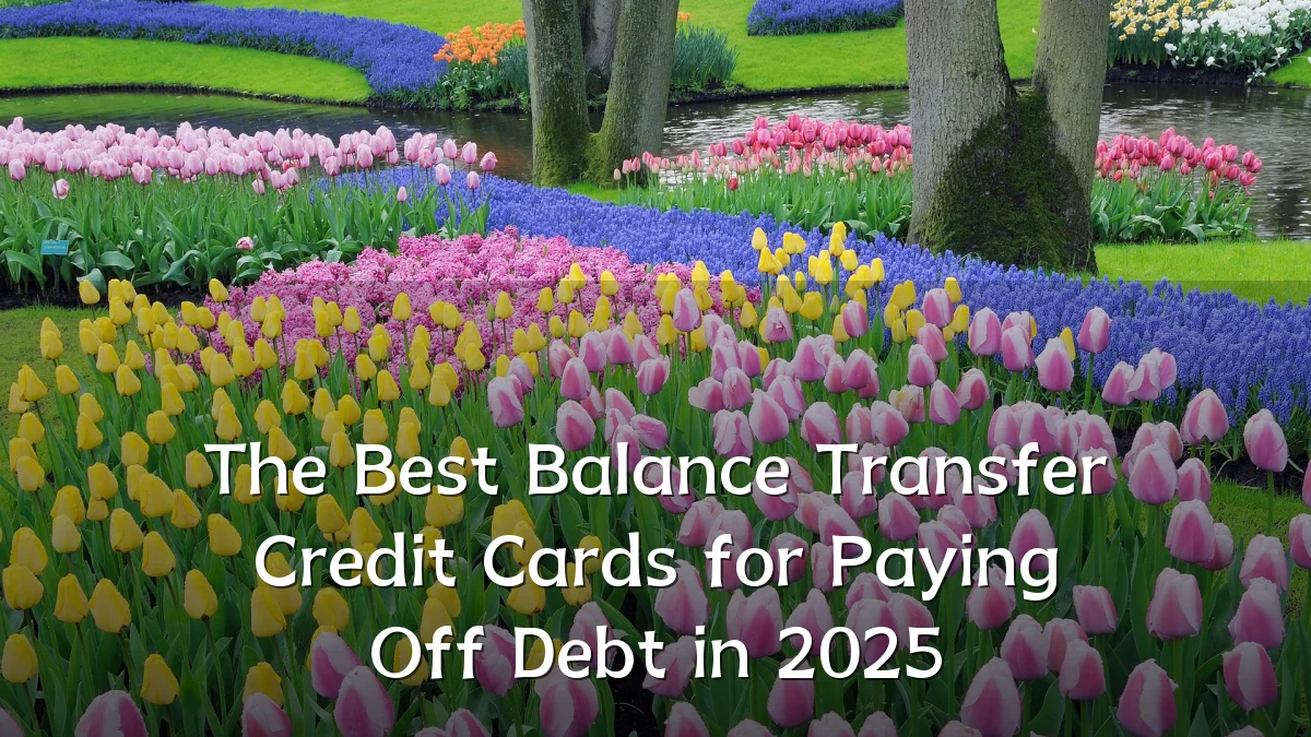 The Best Balance Transfer Credit Cards for Paying Off Debt in 2025