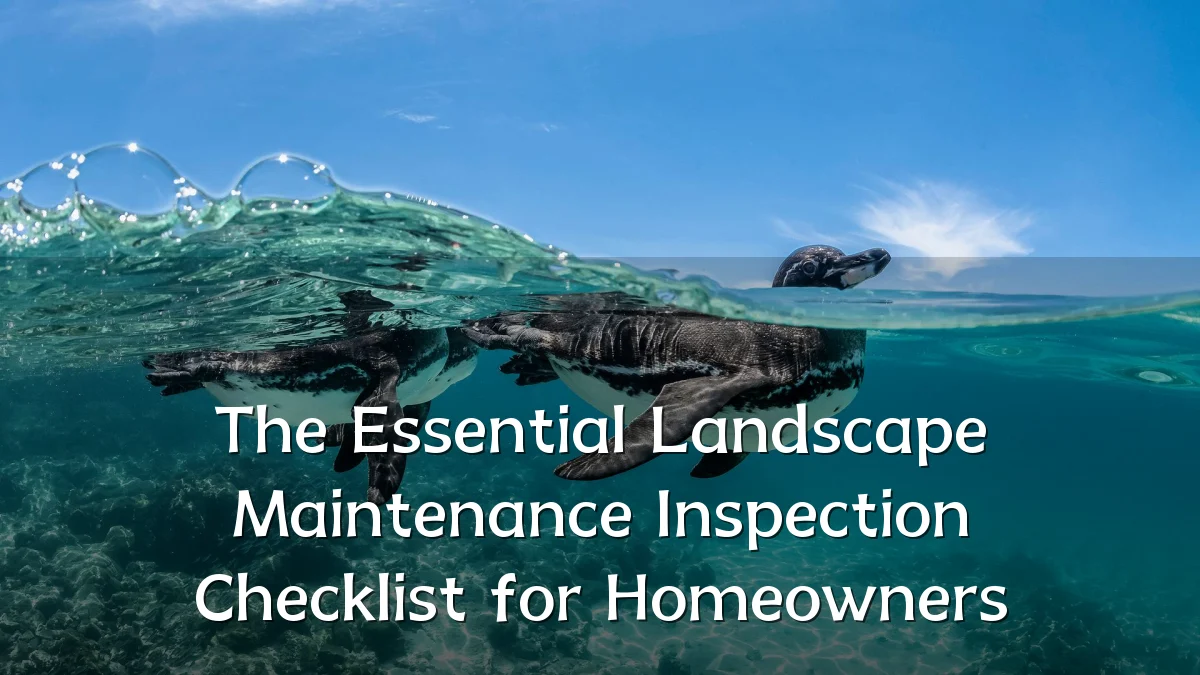 The Essential Landscape Maintenance Inspection Checklist for Homeowners
