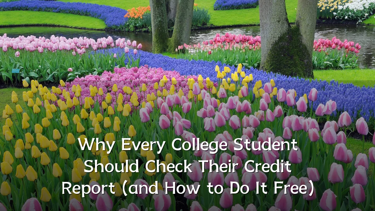 Why Every College Student Should Check Their Credit Report (and How to Do It Free)