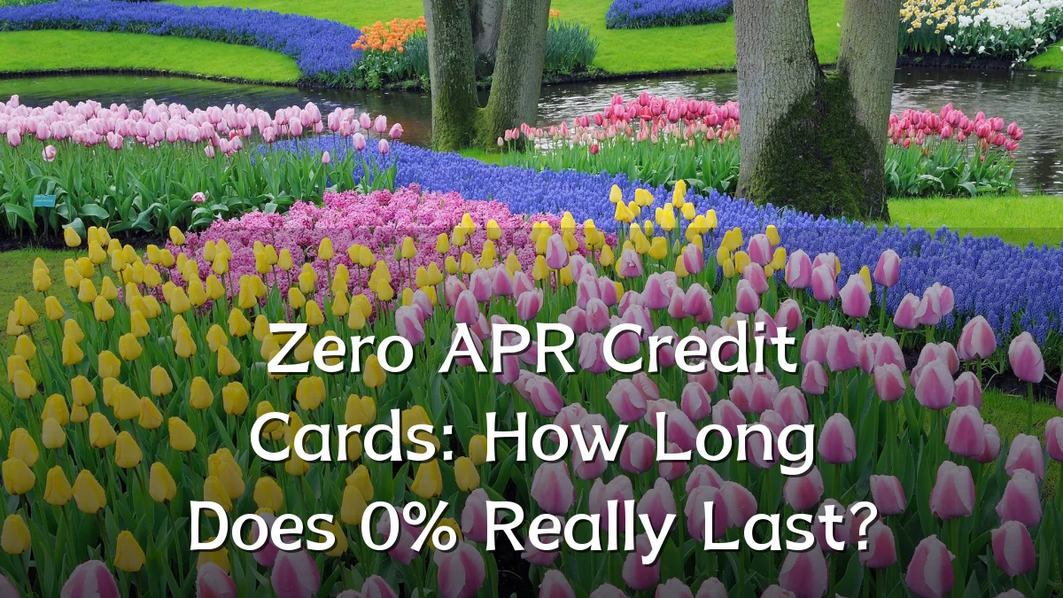 Zero APR Credit Cards: How Long Does 0% Really Last?